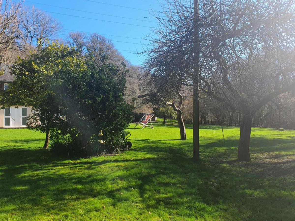 Osbornes Holiday House Near Exeter With Swimming Pool Bagian luar foto